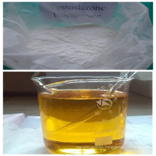 Muscle Building 15262-86-9 Steroid Hormone Testosterone Isocaproate (Sh-Ts006)